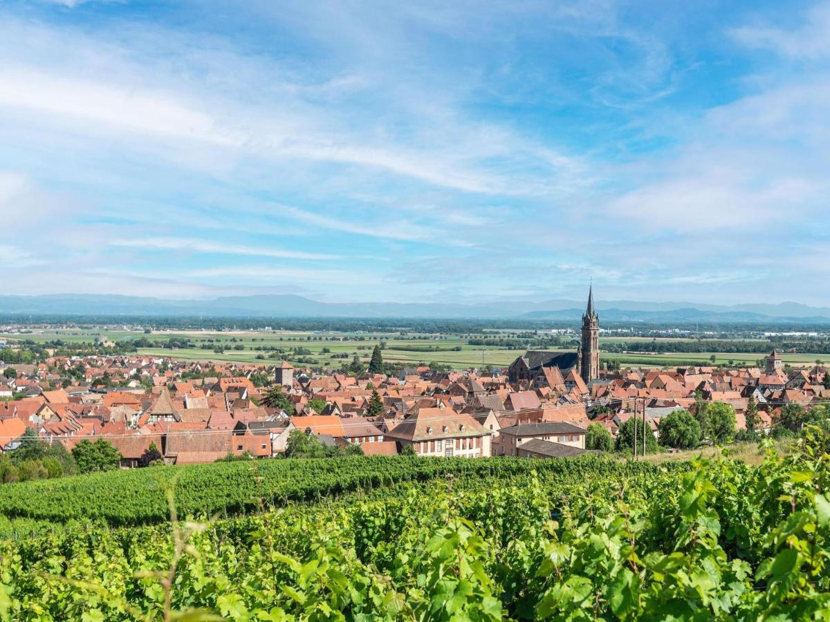 Charming Gite In Dambach La Ville With Terrace Eksteriør billede